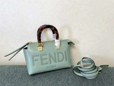 Fendi Handbags 494